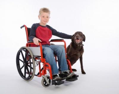 US Service Animals - Types of Service Animal