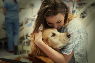 US Service Animals - Rеаѕоnѕ Whу Yоu Nееd a Sеrviсе Dоg