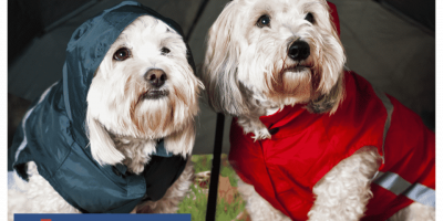 US Service Animals - National Pet Preparedness Month