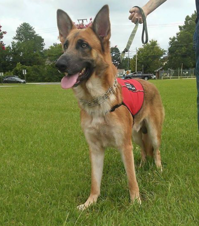 US Service Animals - Why Our Customers Love Our Service Vests