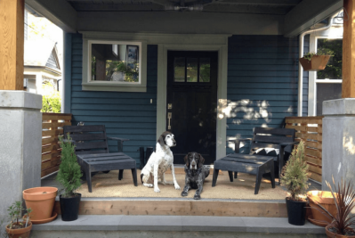 US Service Animals - Airbnb Policy For Service Animals And ESAs