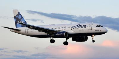 US Service Animals - JetBlue Pet Policy 