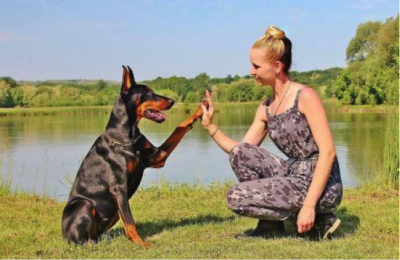 US Service Animals - Can You Get A Service Dog If You Have OCD? It Depends