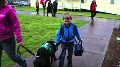 US Service Animals - Service Dogs for Autism | How They Can Help & How To Qualify