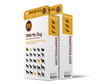 US Service Animals - Products