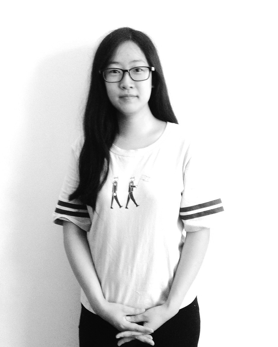 Lei Lin