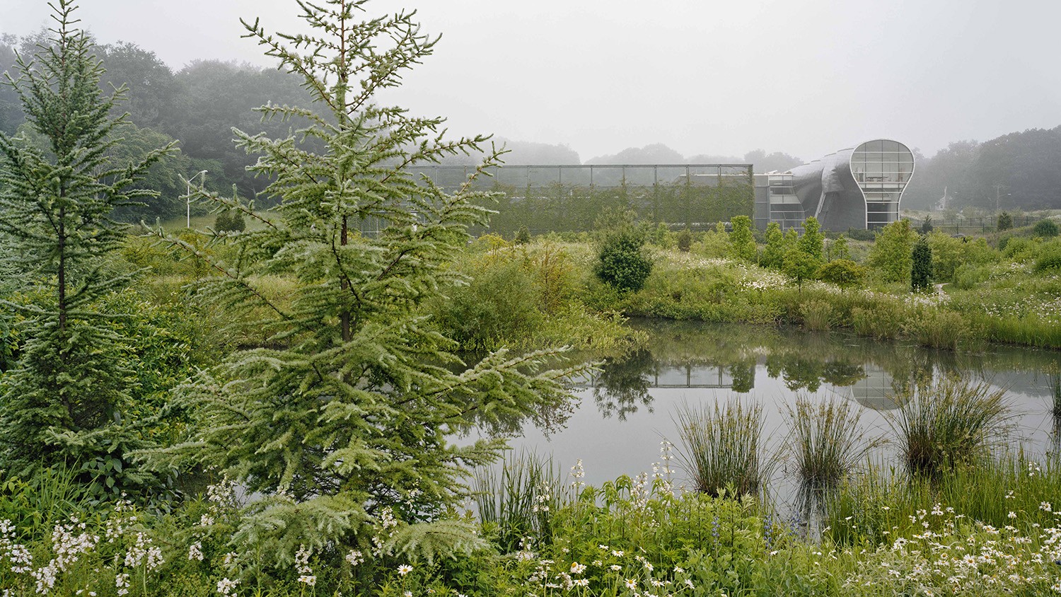 https://s3.us-east-2.amazonaws.com/steven-holl/uploads/projects/project-images/ElizabethFelicella_Whitney_EF090617013C_WH.jpg https://s3.us-east-2.amazonaws.com/steven-holl/uploads/projects/project-images/ElizabethFelicella_Whitney_EF090617013C_WH.jpg