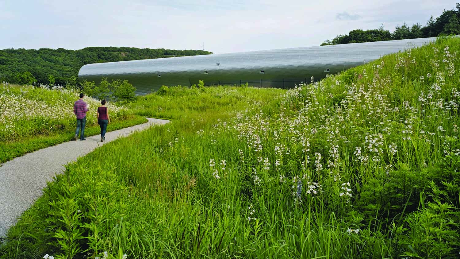 https://s3.us-east-2.amazonaws.com/steven-holl/uploads/projects/project-images/ElizabethFelicella_whitney_NGPINTERVIEWBOARDS_Page_11_WH.jpg https://s3.us-east-2.amazonaws.com/steven-holl/uploads/projects/project-images/ElizabethFelicella_whitney_NGPINTERVIEWBOARDS_Page_11_WH.jpg