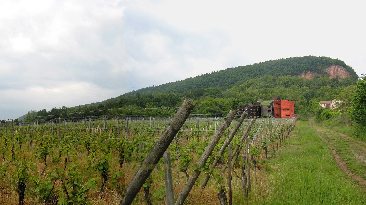 https://s3.us-east-2.amazonaws.com/steven-holl/uploads/projects/project-images/StevenHollArchitects_Alsace_ViewWithVineyards2016_WH.jpg https://s3.us-east-2.amazonaws.com/steven-holl/uploads/projects/project-images/StevenHollArchitects_Alsace_ViewWithVineyards2016_WH.jpg