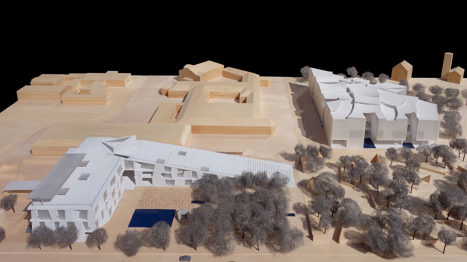 https://s3.us-east-2.amazonaws.com/steven-holl/uploads/projects/project-images/StevenHollArchitects_Glassell_DSC05174_WH.jpg https://s3.us-east-2.amazonaws.com/steven-holl/uploads/projects/project-images/StevenHollArchitects_Glassell_DSC05174_WH.jpg