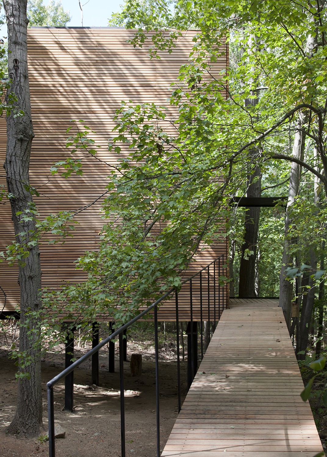https://s3.us-east-2.amazonaws.com/steven-holl/uploads/projects/project-images/SusanWides_TSpace_IMG_7915_WV.jpg https://s3.us-east-2.amazonaws.com/steven-holl/uploads/projects/project-images/SusanWides_TSpace_IMG_7915_WV.jpg