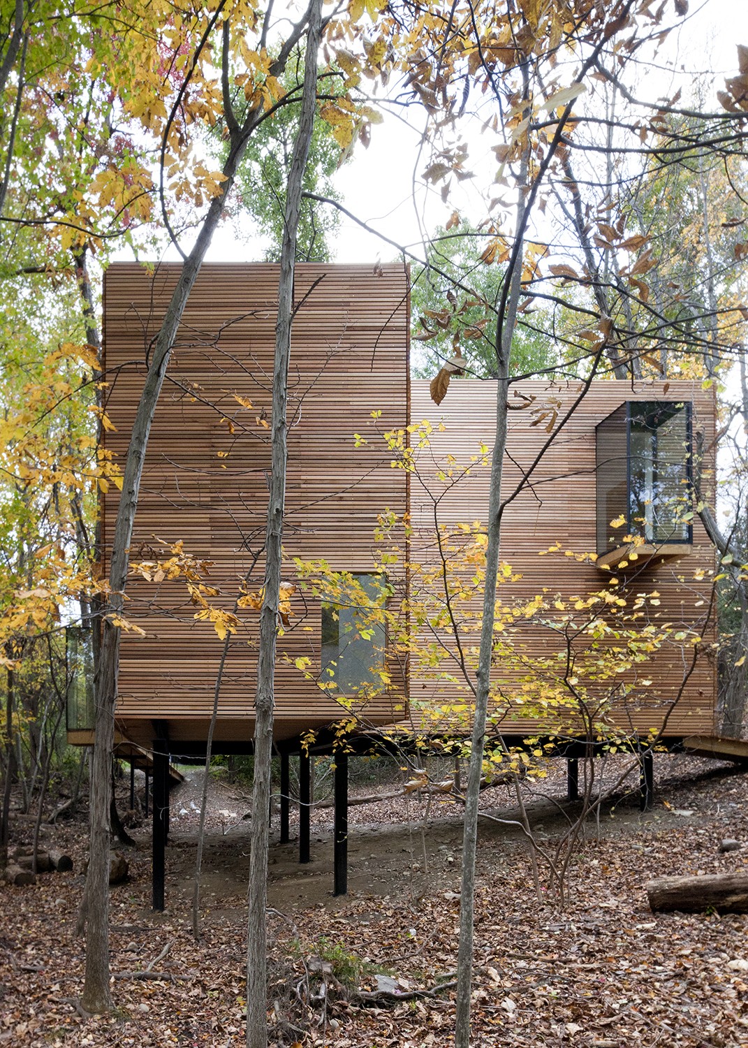 https://s3.us-east-2.amazonaws.com/steven-holl/uploads/projects/project-images/SusanWides_TSpace_IMG_8654R_WV.jpg https://s3.us-east-2.amazonaws.com/steven-holl/uploads/projects/project-images/SusanWides_TSpace_IMG_8654R_WV.jpg