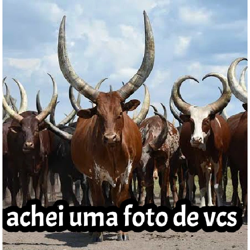 Sticker 29701