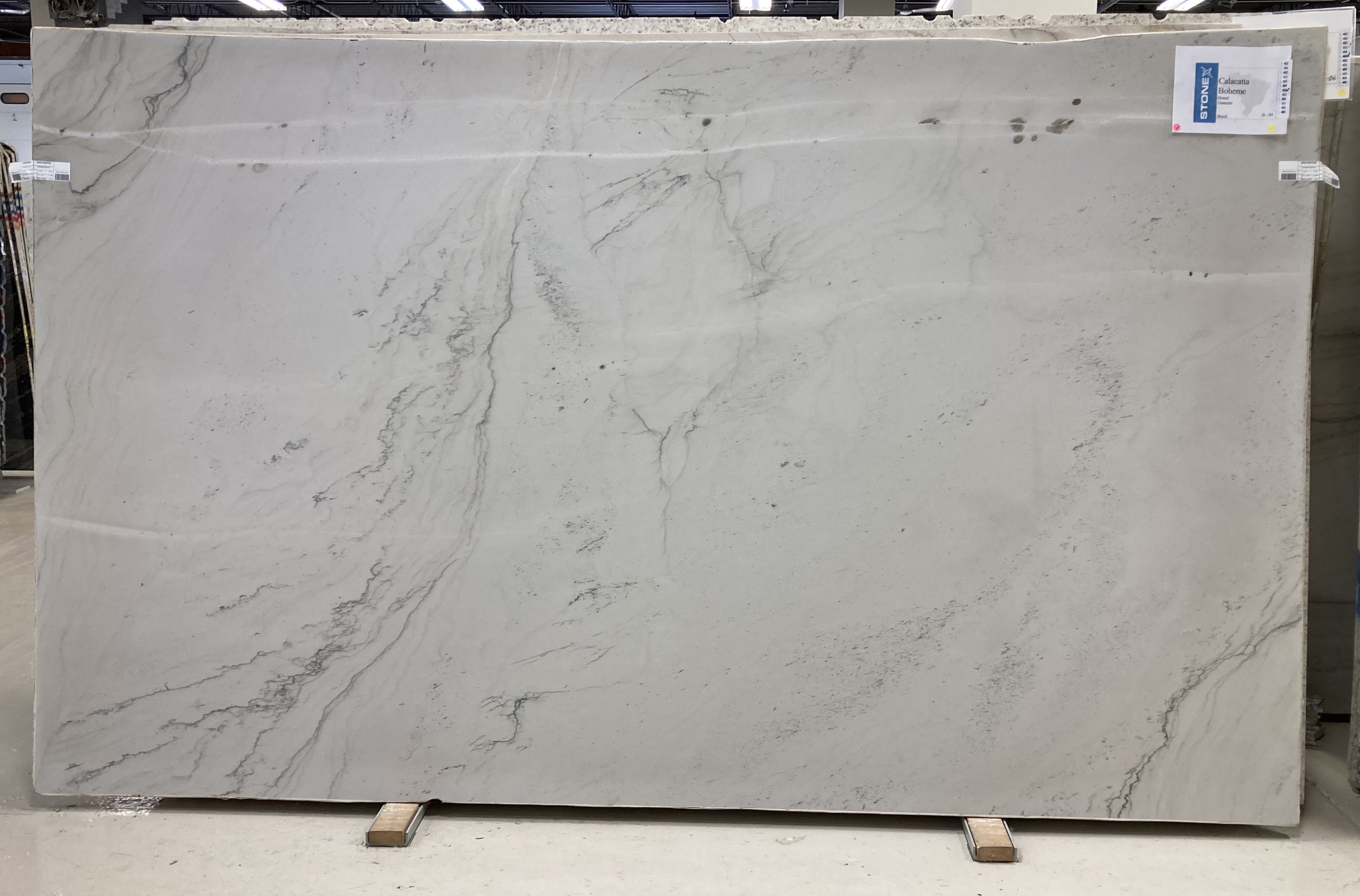 Calacatta Boheme Honed 3cm – Quartzite - Quartzite Stone Slab