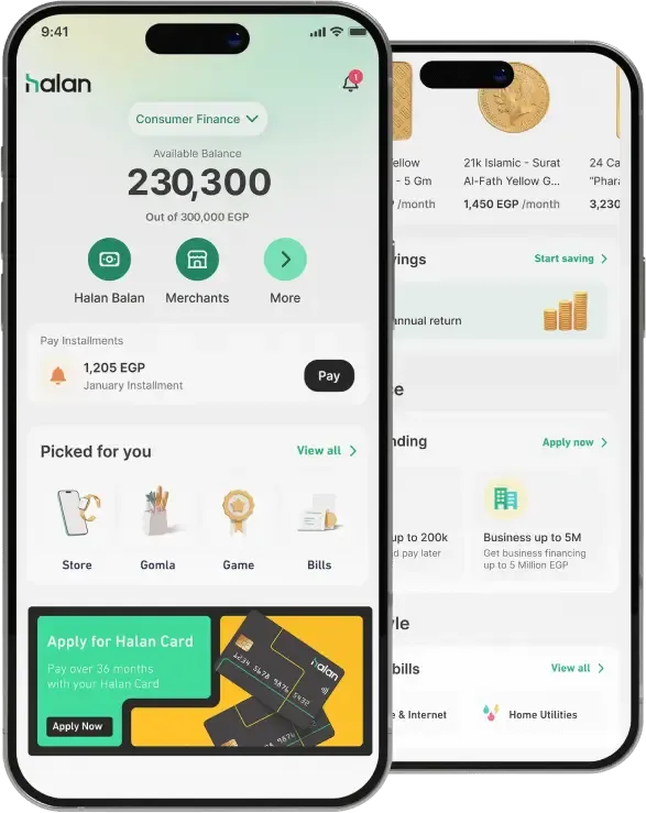 Halan - FinTech App for Seamless Digital Financial Services