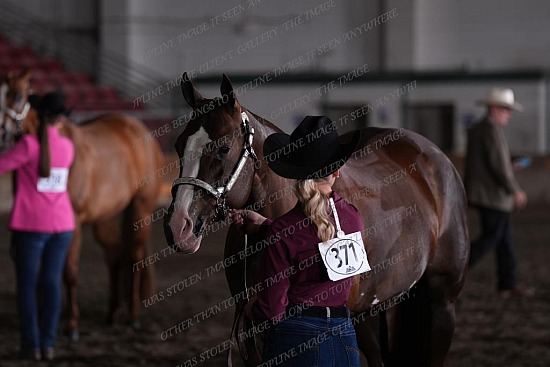 Comin_In_Hott_371_Fri_Halter_2_Trophy_KL_658_KLL08169.jpg Trophy Circuit 