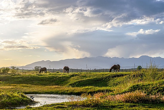 Colorado Sunsets