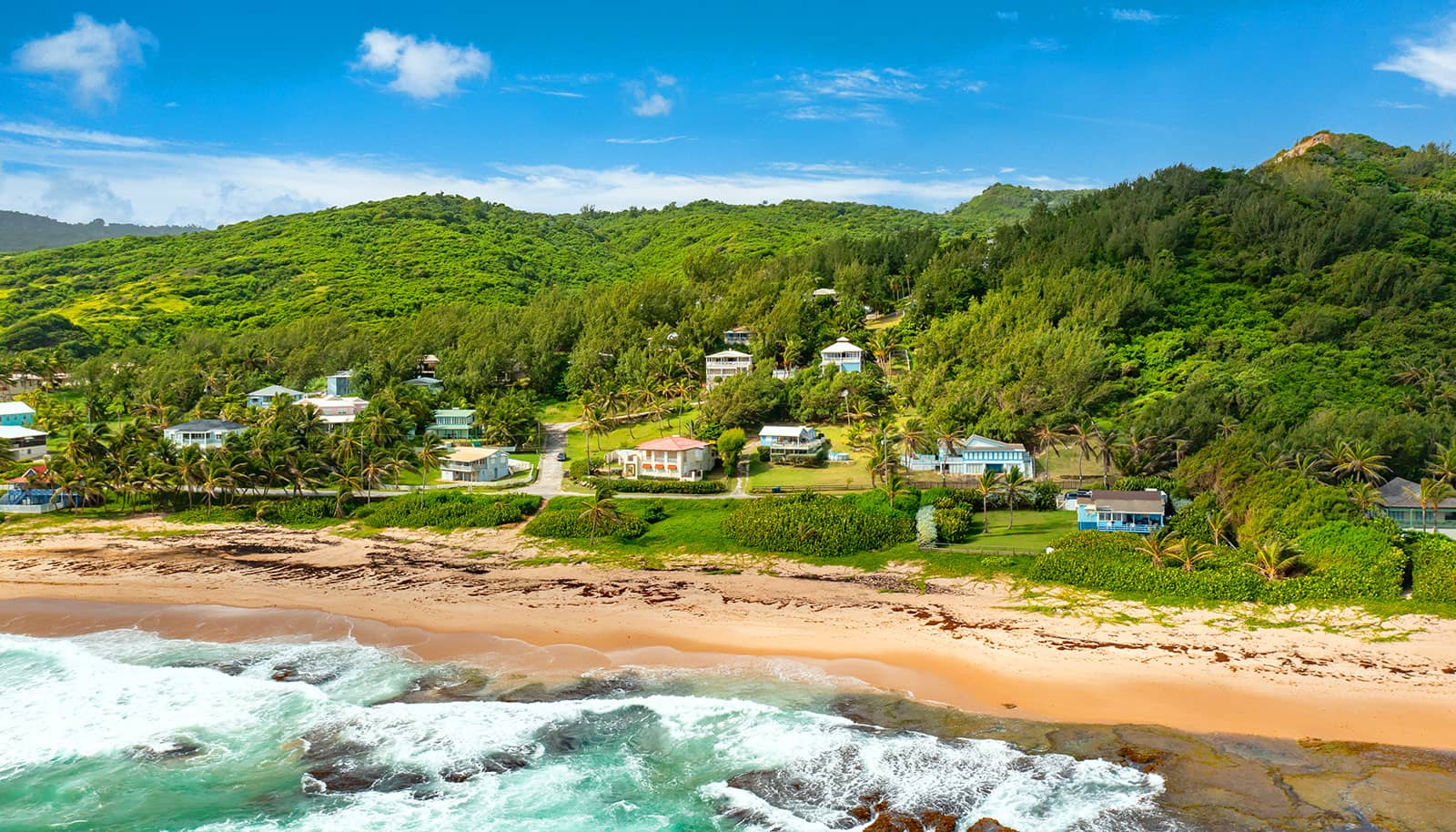 Trinidad - Terra Caribbean
