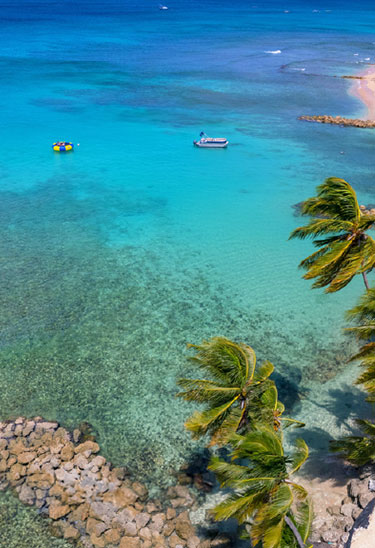Coral Beach Photo