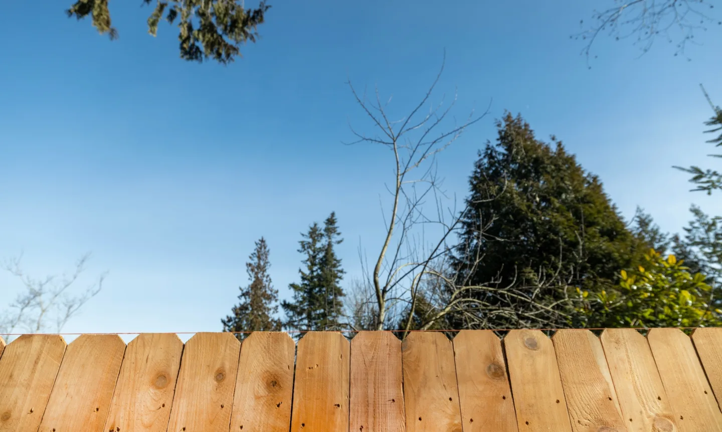 Cedar fence