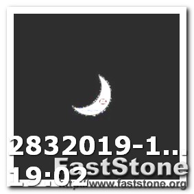 Kangaroo Logo to Buy