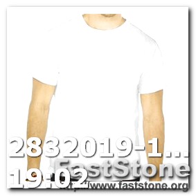 Logo Design Business Free