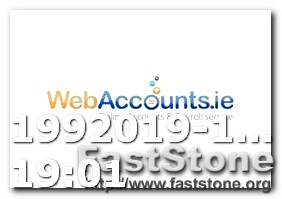 Where to Buy Miami Dolphin Logos