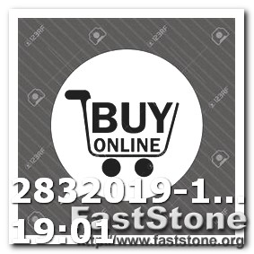 Buy Stone Island Logo