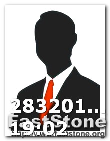 Logo Design With Cat