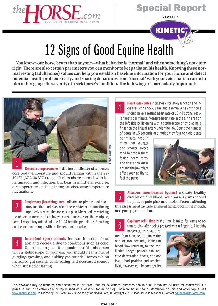 12 Signs of Good Equine Health The Horse