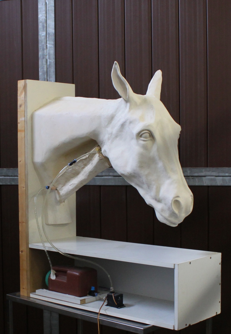 Researchers Create Equine Jugular Vein Injection Simulator The Horse