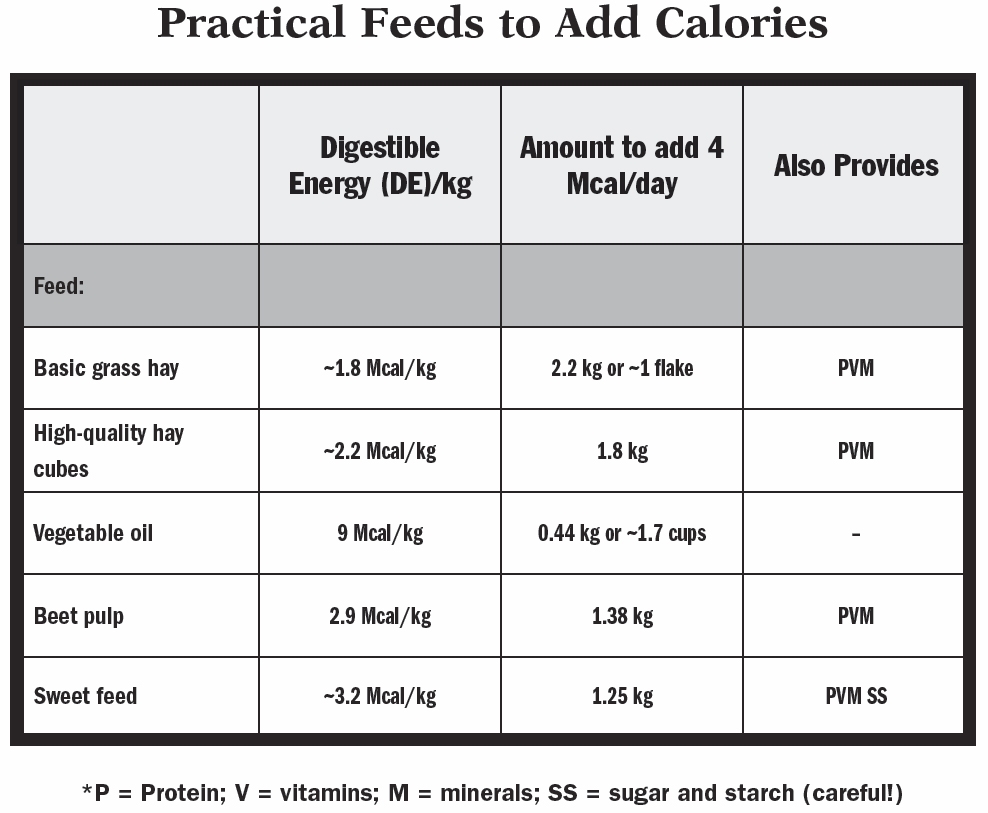 feeding horses to increase weight and body condition the horse rider weight chart