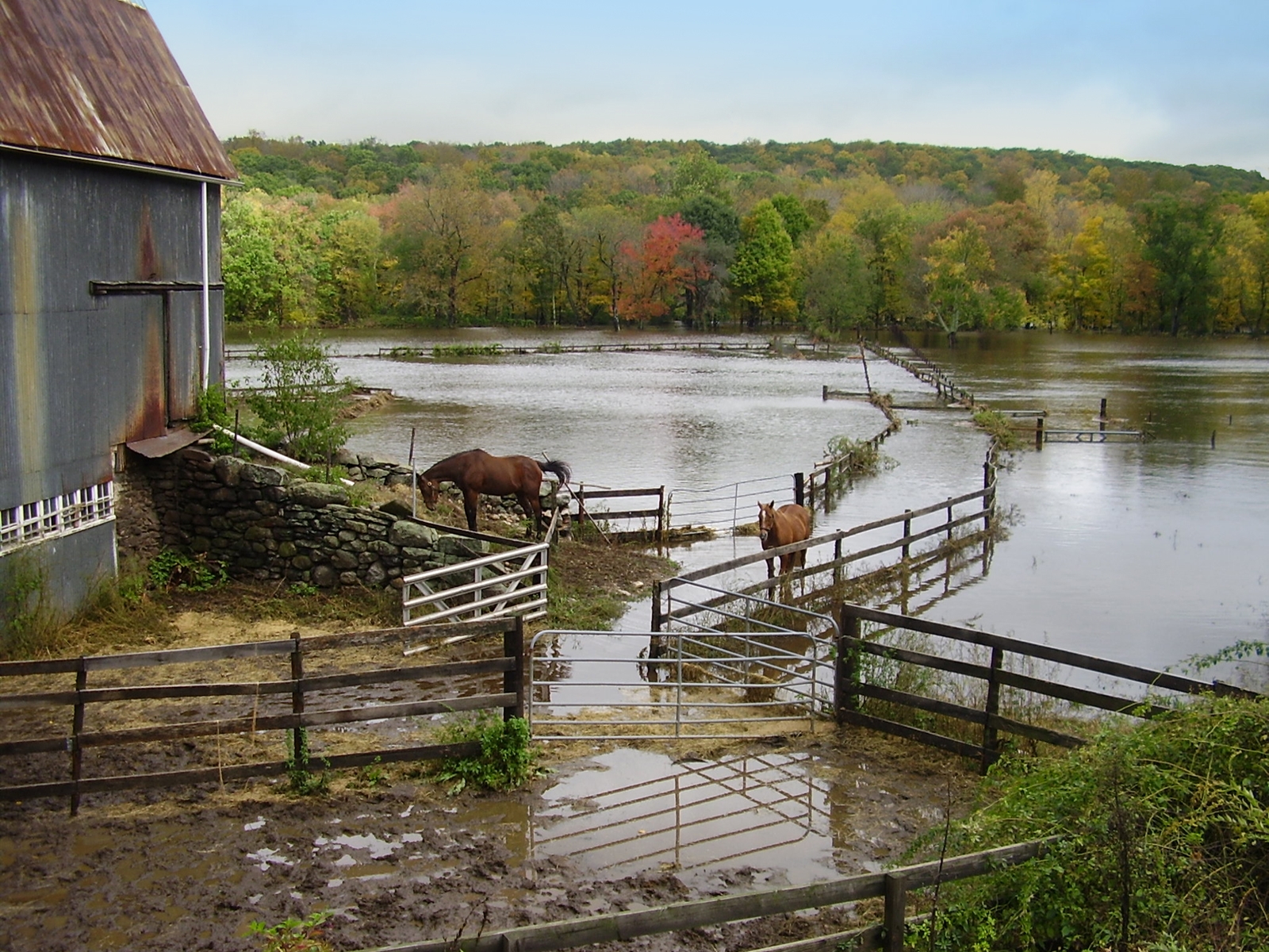 Flooded horse farm