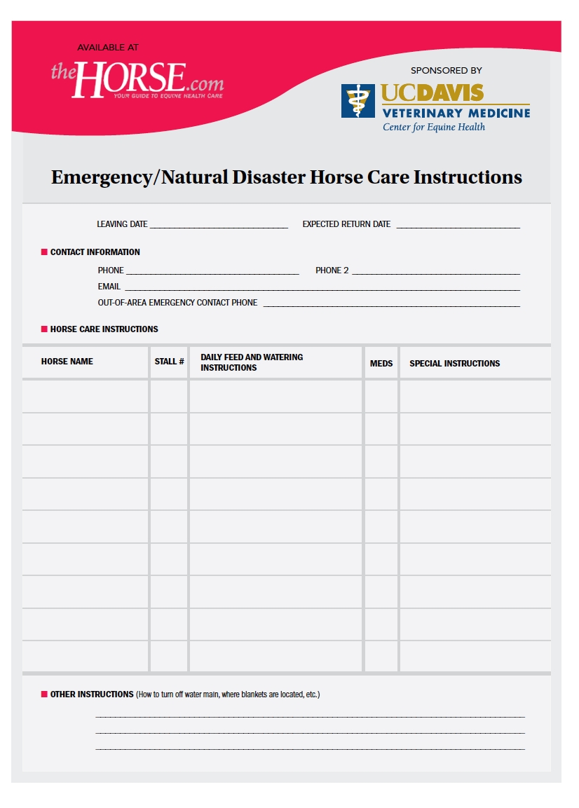 Horse Care Sheet Printable