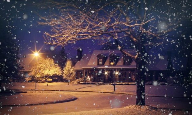 Opportunities for generosity this holiday season