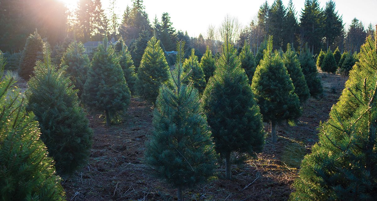 Calling all farmers to hop on the Agri-Action Bus Tour