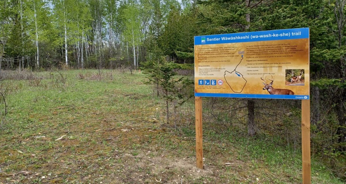New trail at Voyageur Provincial Park
