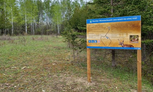 New trail at Voyageur Provincial Park