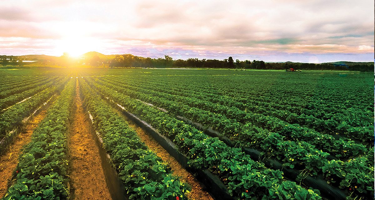 Russell County Junior Farmers to celebrate 75 years