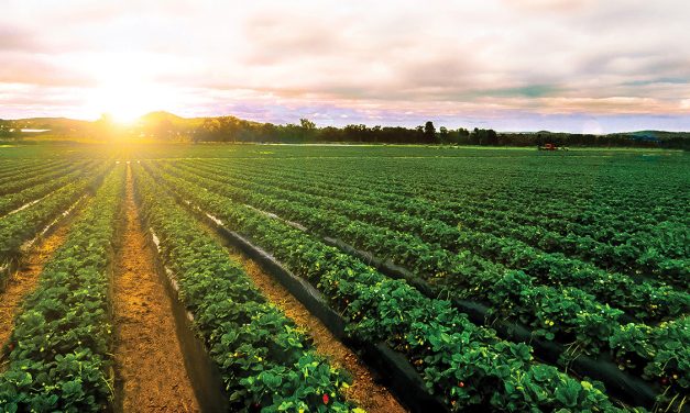 Russell County Junior Farmers to celebrate 75 years