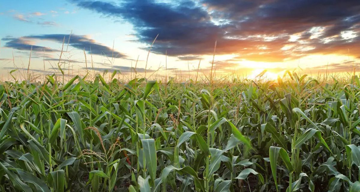 NFU-O outlines concerns and recommendations on Alto high-speed rail project