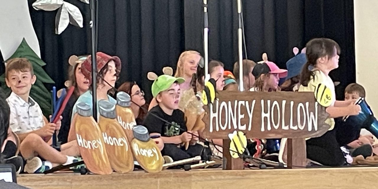 Vankleek Hill Summer Music and Arts Camp gives closing show