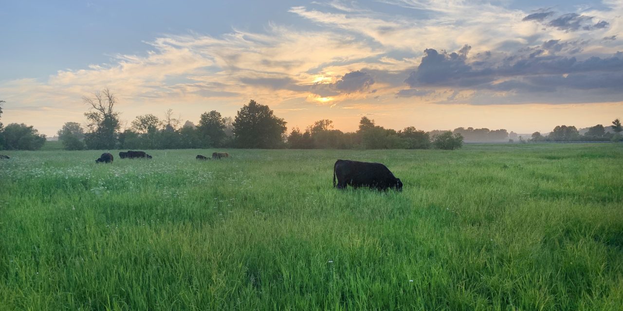 Farmers Invited to Agri-Action Land Stewardship Twilight Tour