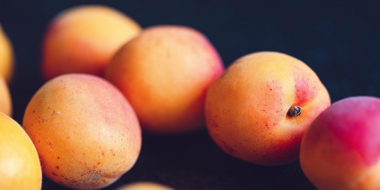 New displays to better promote Ontario-grown fruit