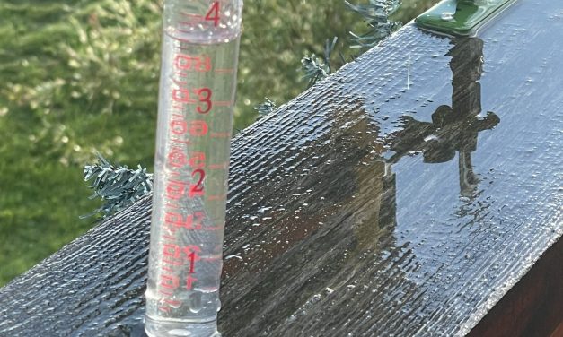 Debby downpour drenches district