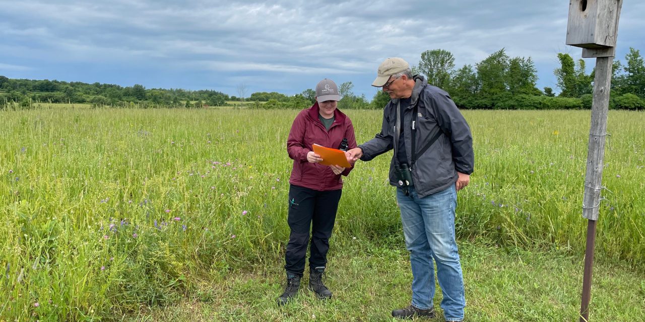 Grants for grasslands available