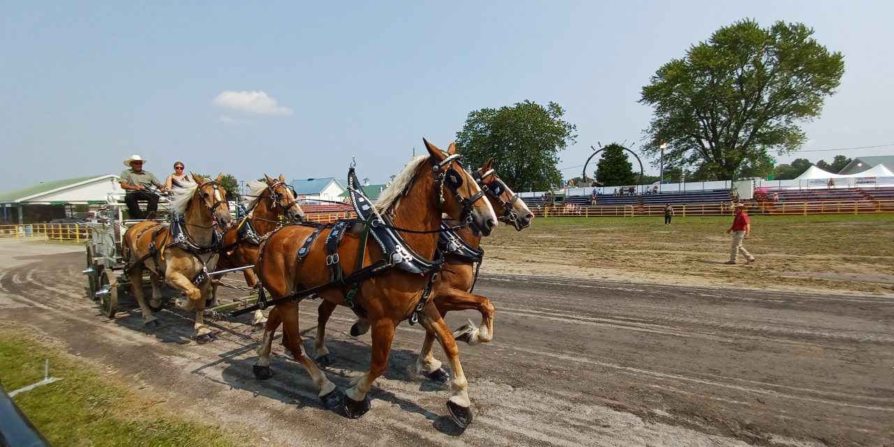 More than 14,000 people attend 2024 Vankleek Hill Fair