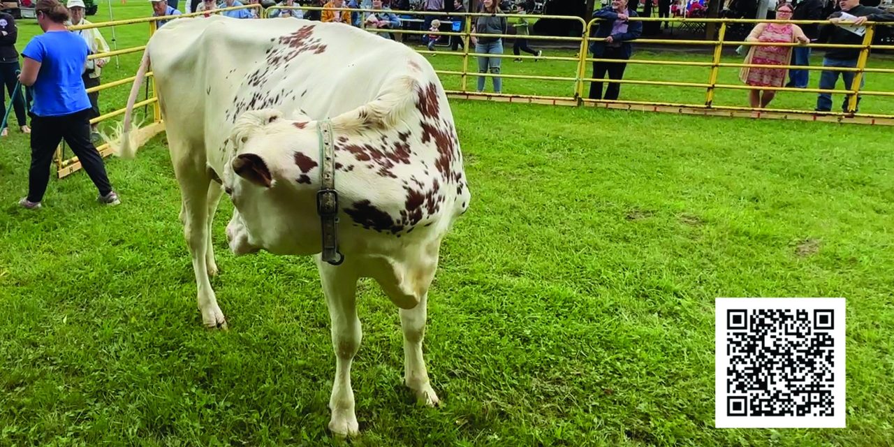 Online tickets available for Cow Pie 50/50 draw at Glengarry Pioneer Museum