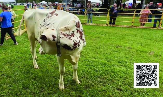 Online tickets available for Cow Pie 50/50 draw at Glengarry Pioneer Museum