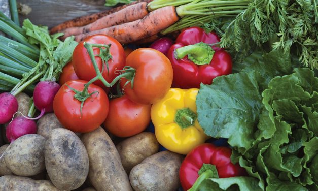 Holiday basket applications open in Vankleek Hill